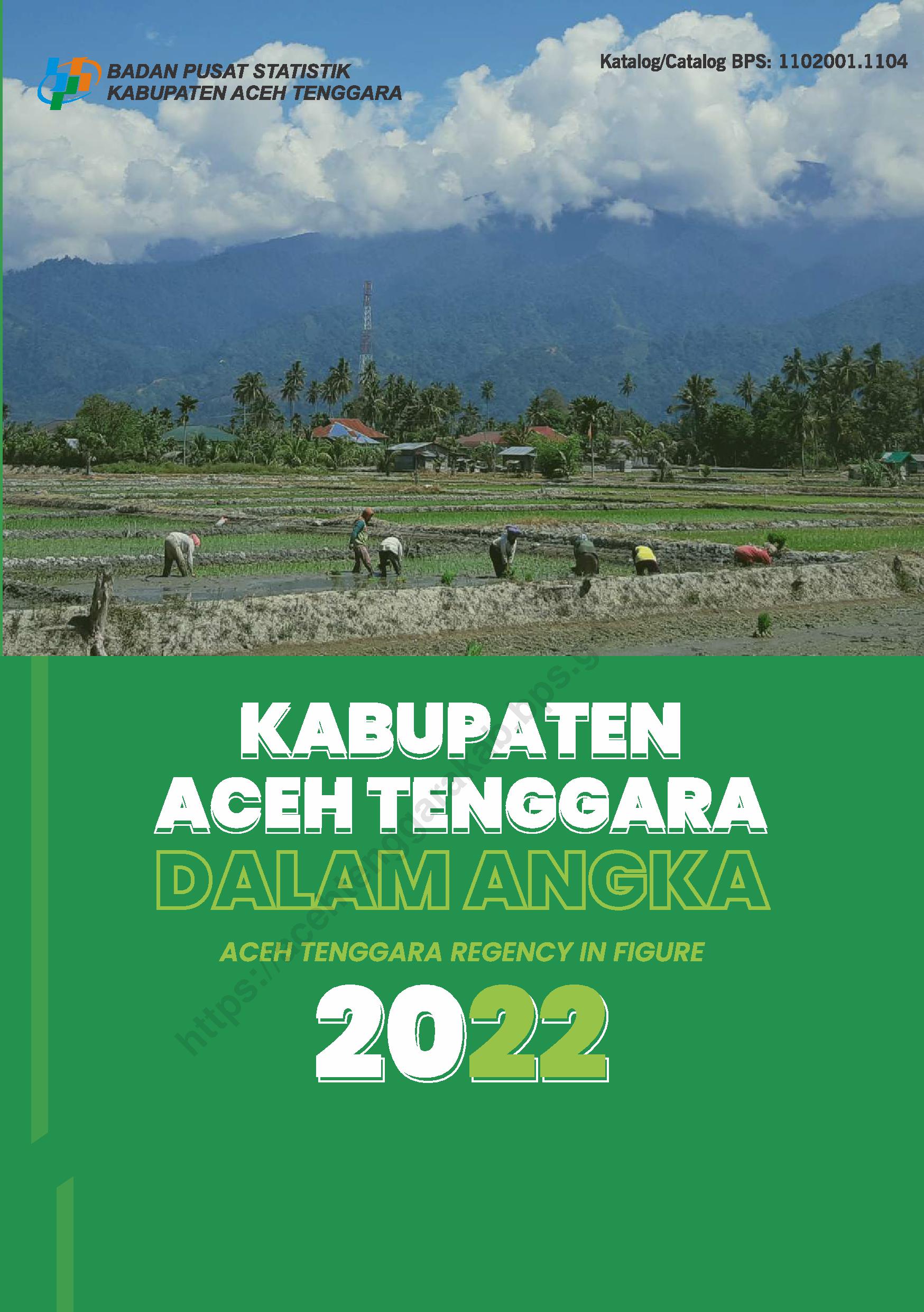 Kabupaten Aceh Tenggara Dalam Angka – Kompaspedia