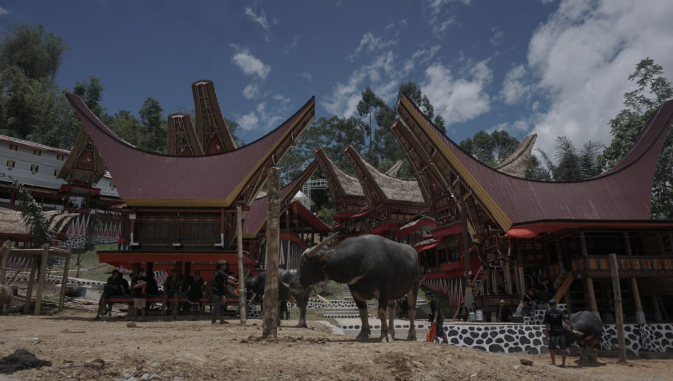 Pesta Kematian Rambu Solo Toraja Dalam Arus Perubahan Sosial